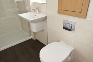 chestnut shadwell plot 1 4 sm.jpg